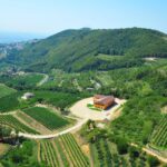 sleeping-in-winery