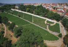 Vinice pod stovkou věží