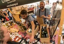 PRVNÍ ROČNÍK FESTIVALU PAVILLON FRANÇAIS