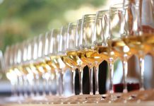 1000 Top vín světa – 25 je z Česka