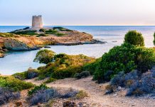 Skvělé víno a gastronomie, to je jižní Sardinie