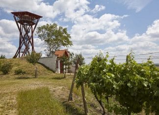 Rozhledna Slunečná