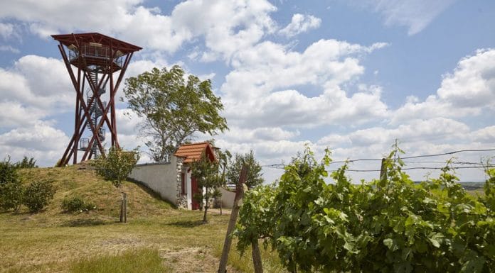 Rozhledna Slunečná