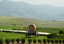 Velký prezentační večer bulharských vín v Praze