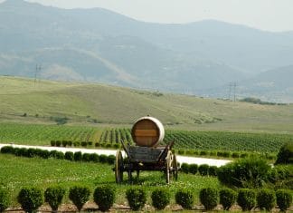 Velký prezentační večer bulharských vín v Praze