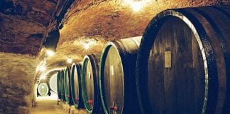 Ze sklepa do sklepa. Vstupte, je otevřeno