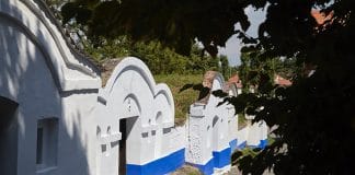 Tipy na vinařské akce – 18. týden