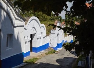 Tipy na vinařské akce – 18. týden