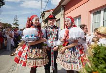 Kam v červnu za vínem…