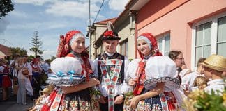 Kam v červnu za vínem…