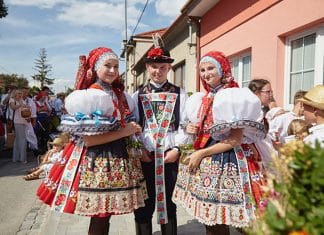 Kam v červnu za vínem…