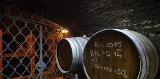 Putování po otevřených sklepech