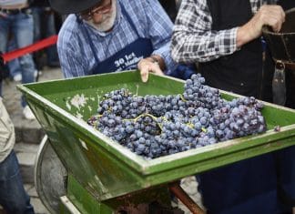 Vinařské akce do konce prázdnin