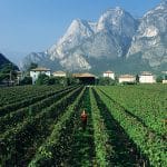 Azienda-by-Stefano-ScatÖ