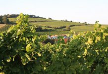 Podzim v Dolním Rakousku