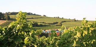 Podzim v Dolním Rakousku