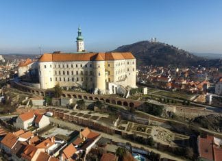 CO JE VÍC, NEŽ MOŘE? DRUHÁ DOVOLENÁ NA NAŠICH VINICÍCH