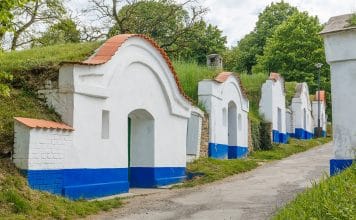 Vinařská „Stínadla“ aneb kouzlo sklepních uliček