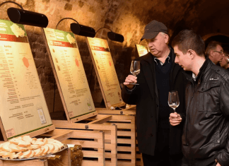 Salon vín ČR je nejpopulárnějším TOP vinařským cílem roku 2017