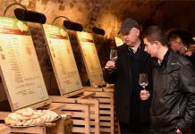 Tipy na vinařské akce – 3. týden