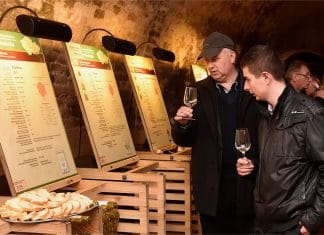 Tipy na vinařské akce – 3. týden