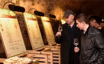 Tipy na vinařské akce – 3. týden