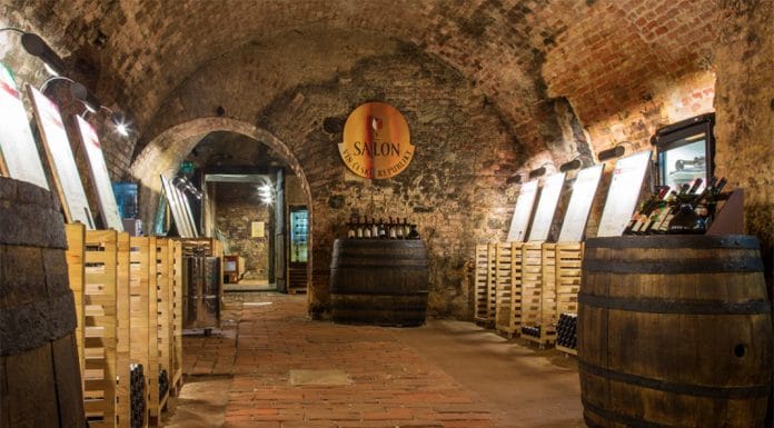 100 nejlepších moravských a českých vín