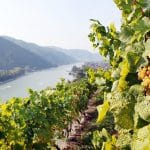 Aufnahmeort : Wachau – Weissenkirchen