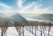 Tipy na vinařské akce – 47. týden