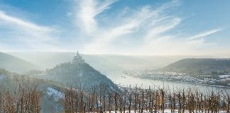 Tipy na vinařské akce – 47. týden