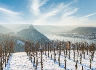 Tipy na vinařské akce – 47. týden