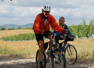 Za Veltlínem na Znojemsko!