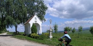 Tipy na vinařské akce – 33. týden