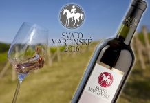 Už jen pár dní do otevření prvních Svatomartinských vín