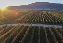 Vrbnička Žlachtina, nevíte co to je?