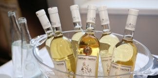 Tipy na vinařské akce – 5. týden