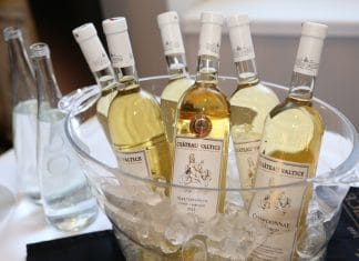 Tipy na vinařské akce – 10. týden