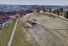 Vinice Svatá Klára