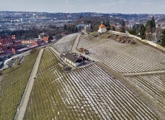 Vinice Svatá Klára