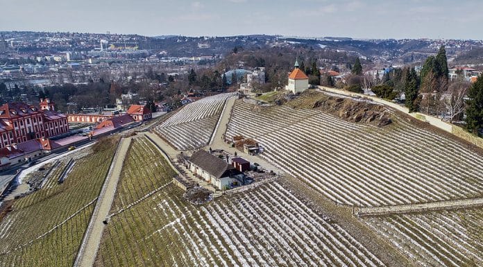 Vinice Svatá Klára