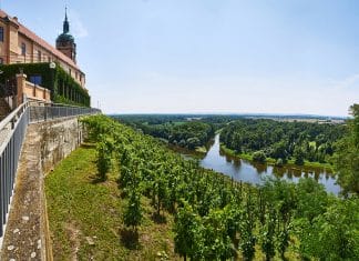 Za vínem i do Čech!