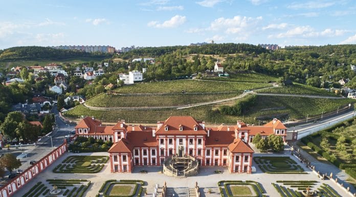 Festival jako víno v botanické už tuto sobotu