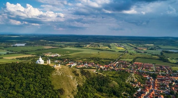 Tipy na vinařské akce – 31. týden