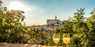 Burčák bude již za týden!