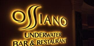 VEČEŘE MEZI ŽRALOKY