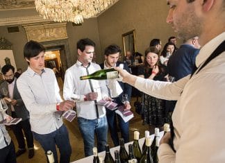 Zážitek se špičkovými víny může být dobrým tipem na dárek k vánocům.