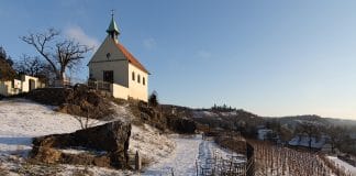 Noc otevřených vín i svařáček. Zahřejte se v botanické zahradě