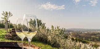 Pozdvihněte sklenici: „Na vinařské jaro!“