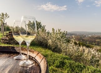 Pozdvihněte sklenici: „Na vinařské jaro!“