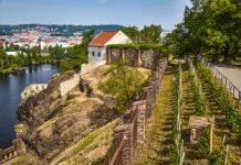 PRAŽSKÉ VINICE 2019 Objevte kouzlo vinohradů a vín v srdci metropole